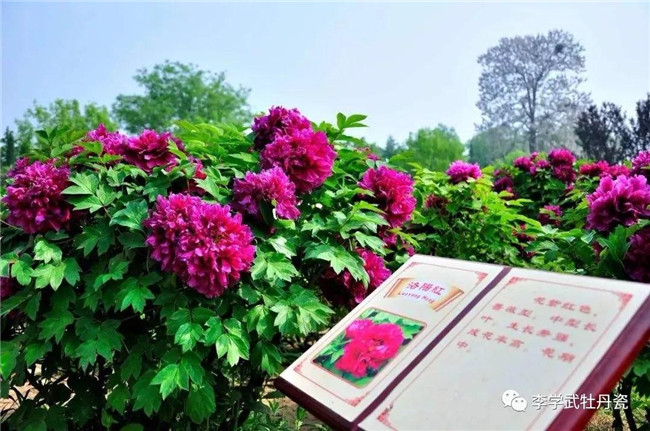 厉害了，洛阳捧回多个大奖！首届“中国黄河旅游文化奖”揭晓6.jpg