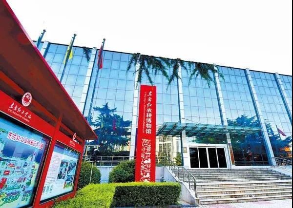 喜爱文化，洛阳就是打卡圣地！24.jpg